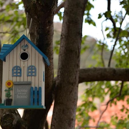The Fig Tree House Βίλα Σαμοθράκη Εξωτερικό φωτογραφία