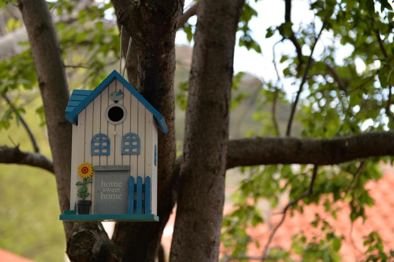 The Fig Tree House Βίλα Σαμοθράκη Εξωτερικό φωτογραφία