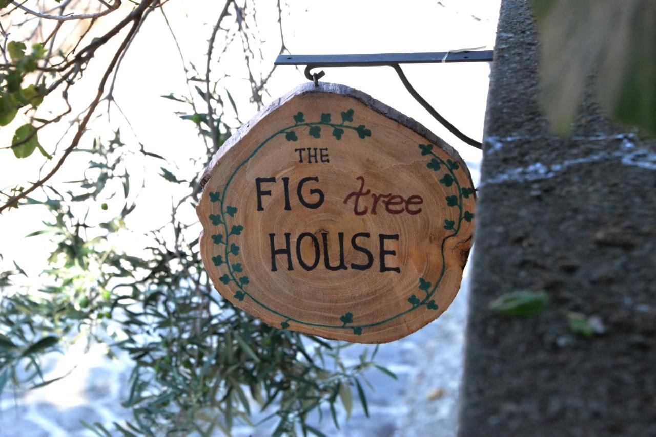 The Fig Tree House Βίλα Σαμοθράκη Εξωτερικό φωτογραφία