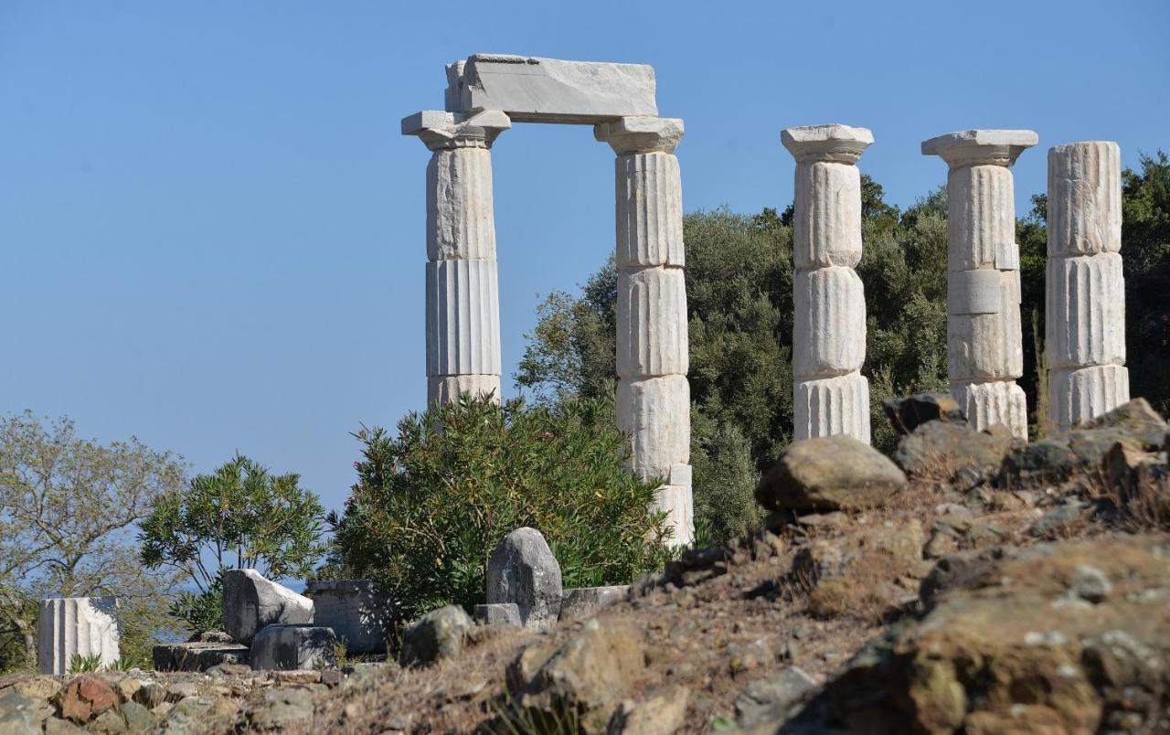 The Fig Tree House Βίλα Σαμοθράκη Εξωτερικό φωτογραφία